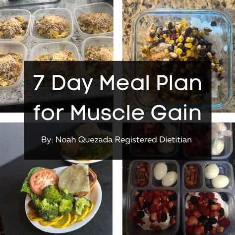 Day Meal Plan For Muscle Gain Outlet USA | brunofuga.adv.br