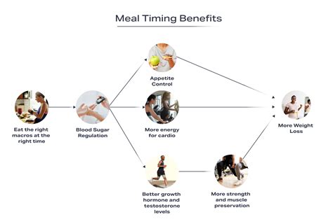 Meal timing and why it matters - Pnoe