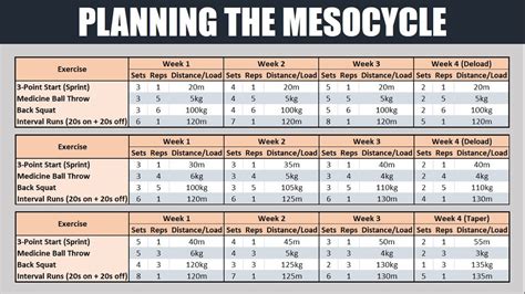 12 Week Periodized Training Program Pdf | EOUA Blog