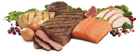 High protein diet | Julianne's Paleo &amp; Zone Nutrition