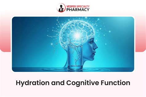 Hydration And Cognitive Function: Boost Focus, Memory & Brain Power