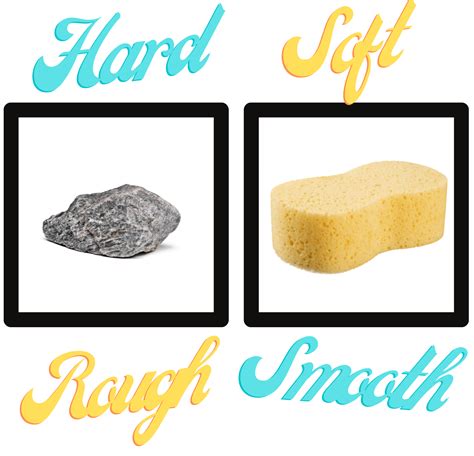 Smooth - Rough and Soft - Hard Quiz