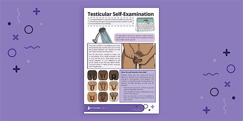 Testicular Self-Examination Poster - Check for Testicular Cancer