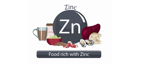 Best Zinc Rich Foods Items and their Benefits