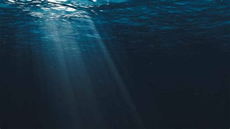 How do deep sea microbes survive with no sunlight?