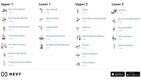 Full Body Workout Vs Upper Lower Split Bodybuilding | EOUA Blog
