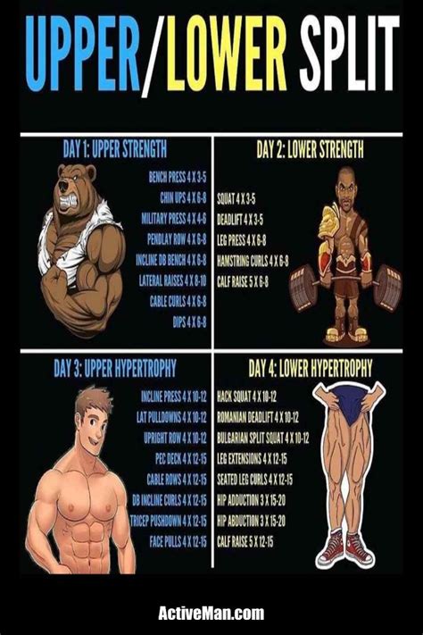 Upper / Lower Split in 2023 | Workout splits, Split workout routine ...