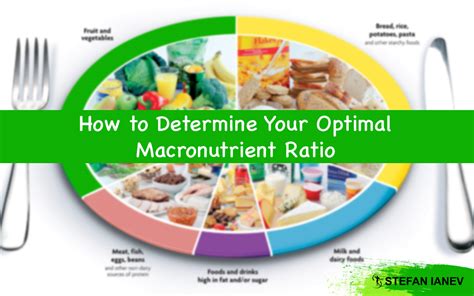 How to Determine Your Optimal Macronutrient Ratio - SC Fitness