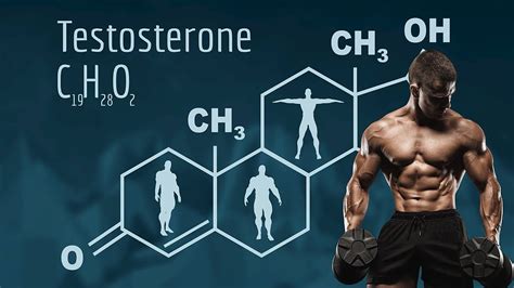 What is testosterone, and how can it help me?