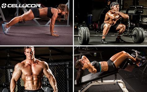 Optimize gym time: High-intensity protocol for peak strength & muscle gains?