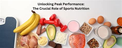 How to optimize daily nutrition for sustained energy & peak male performance?