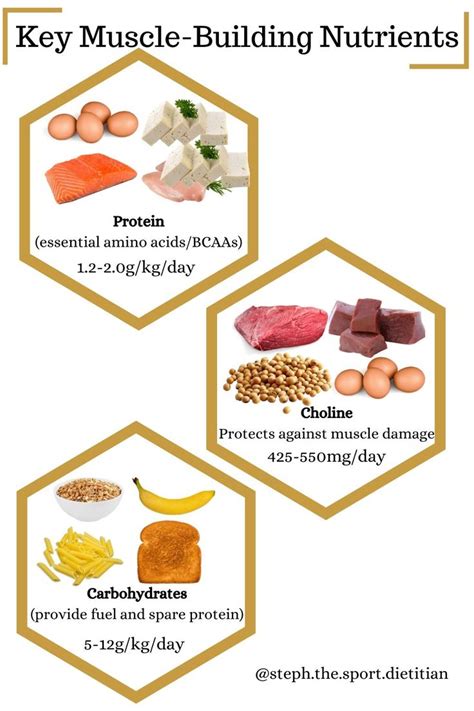 Key Muscle Building Nutrients | Female muscle growth, Sports dietitian ...