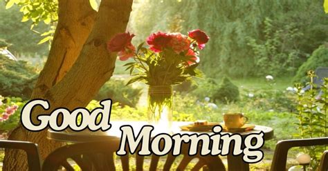 150+ Good Morning Happy Tuesday Wishes 🌅 - Wishes Mastery