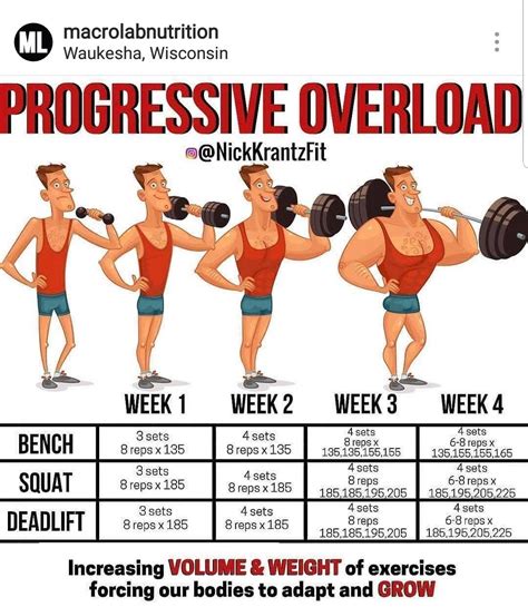 Progressive Overload | Gym workout tips, Weight training workouts, Effective workout routines