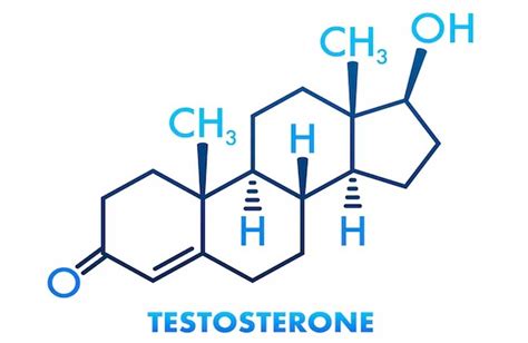 5 effective ways to increase testosterone levels naturally