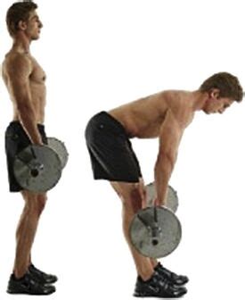 Hip Hinge - Physiopedia