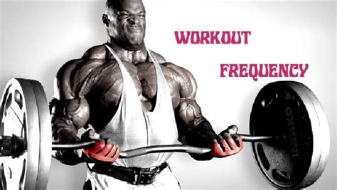 Workout Frequency • Bodybuilding Wizard