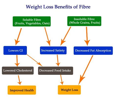 Dietary Fibre Weight Loss