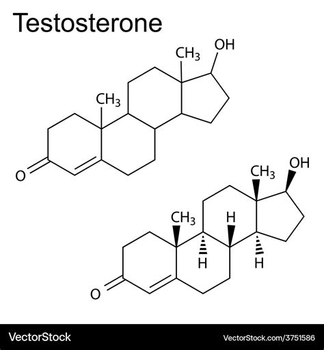 Chemical formulas testosterone molecule Royalty Free Vector