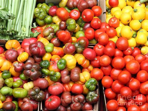 Variety In Photography Examples