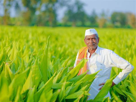 Transforming Indian agriculture: A policy framework to guide US-India ...