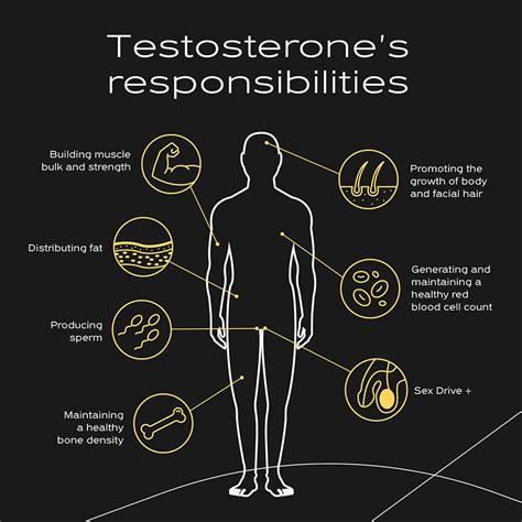 At What Age Does Male Testosterone Drop Hotsell ...