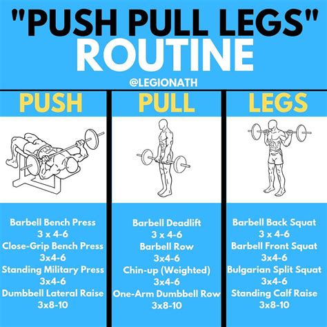 Legion - 💪🏻PUSH PULL LEGS ROUTINE💪🏻⠀ ⠀ “Push pull legs” routines have ...