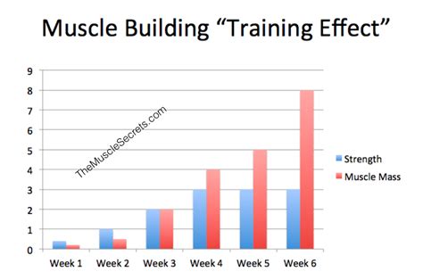 Muscle Building Goals - 5 Steps to Set & Achieve Them Faster