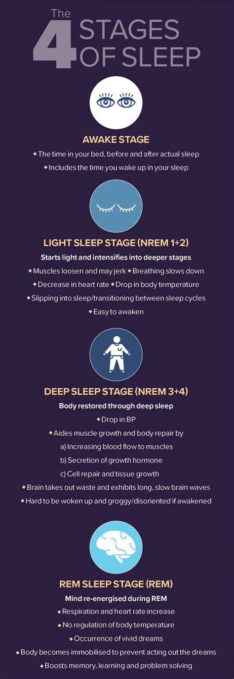 Stages of sleep cycle