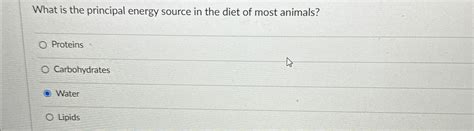 Which macronutrient is the primary source of immediate energy for the body?