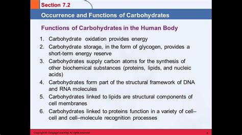 What is the main function of carbohydrates in the human body?
