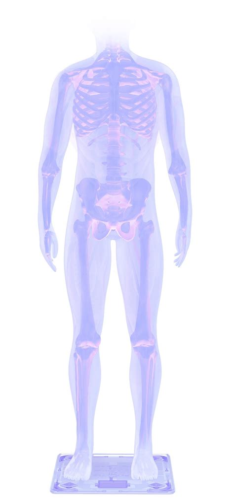 Body+ | Withings USA