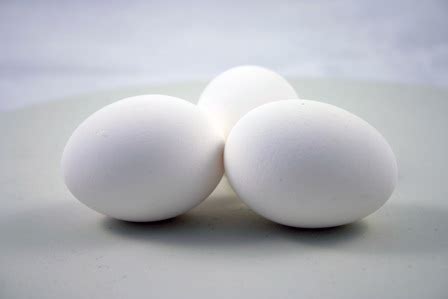 Egg | Romanian Recipes Wiki | FANDOM powered by Wikia