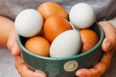 Top 50 Nutrient-Dense Foods