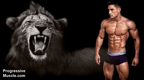 What macros optimize testosterone and peak male performance?