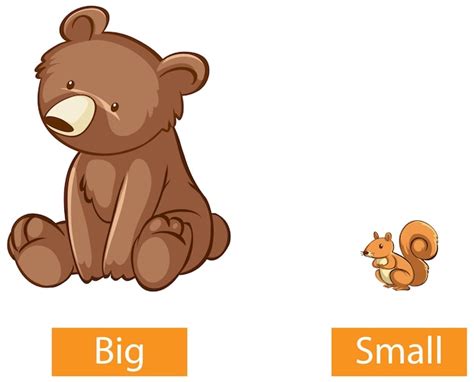 Free Vector | Opposite adjectives words with big and small