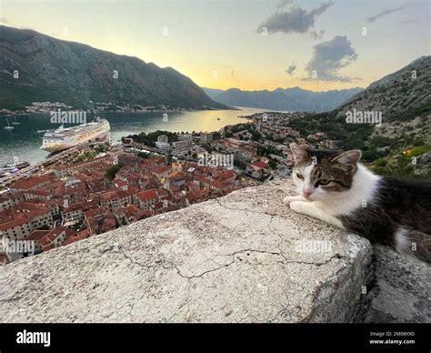 Natural bay from above hi-res stock photography and images - Alamy