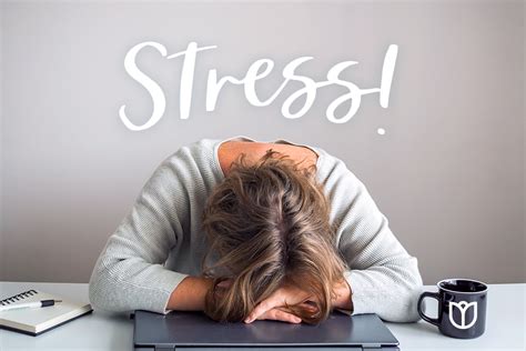 National Stress Awareness Day: How you can manage stress!