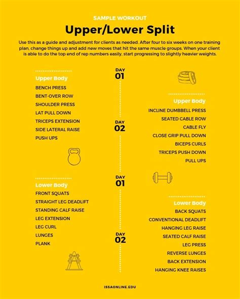 Upper/Lower Split: The Best Workout Plan? | ISSA