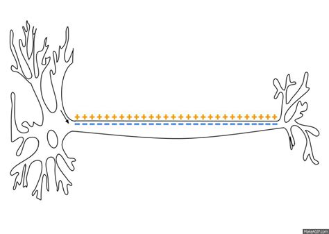 How can I naturally boost testosterone for peak strength & energy?