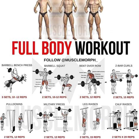🚨 Full body workout (With images) | Full body workout routine, Fitness ...