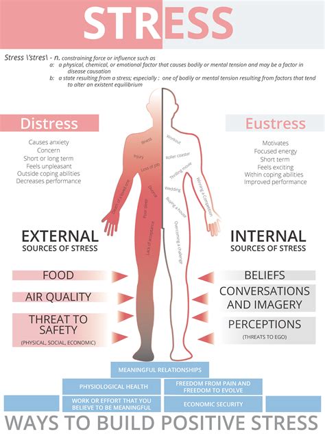 (Infographic) How does stress affect you? - Alcat Education