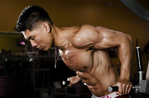 Chest Dips • Bodybuilding Wizard