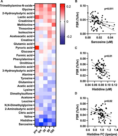 Muscle protein synthesis | PLOS One