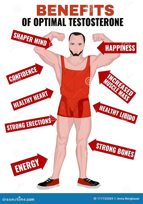 Benefits of Optimal Testosterone Stock Vector - Illustration of medical ...