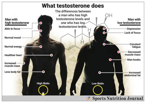 5 Best Testosterone-Boosting Supplements of 2024: Enhance Muscle Growth ...