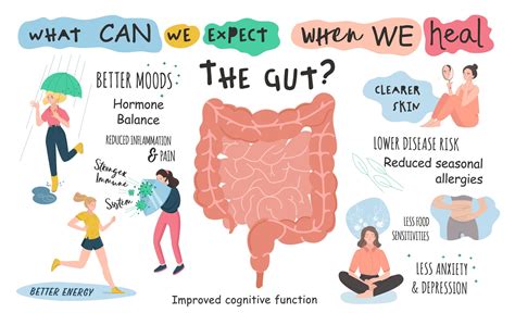 Therapeutic Tools for Gut Microbiome Health • Paleo Foundation