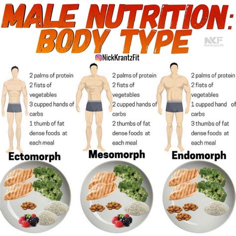 Good Clean Foods For Gaining Lean Muscle Mass - 15 male fitness ...
