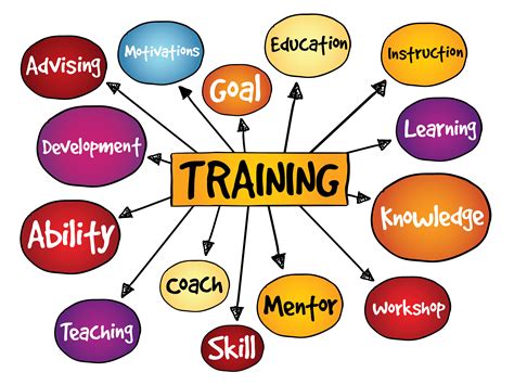 What training split optimizes muscle growth, energy & peak performance for men?