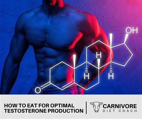 How To Eat For Optimal Testosterone Production - The Carnivore Diet Coach